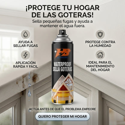 ¿Tienes una gotera o filtración en casa?