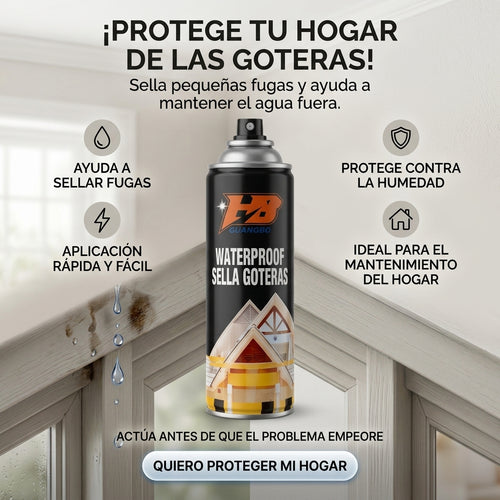 ¿Tienes una gotera o filtración en casa?
